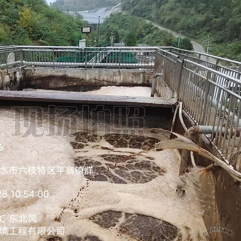 成人免费看片软件渗滤液处理中泡沫产生的危害
